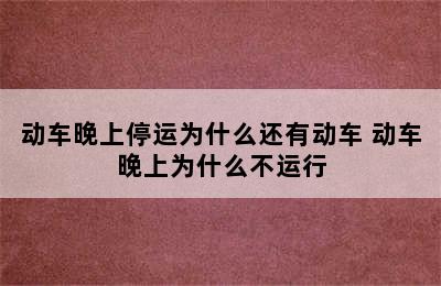 动车晚上停运为什么还有动车 动车晚上为什么不运行